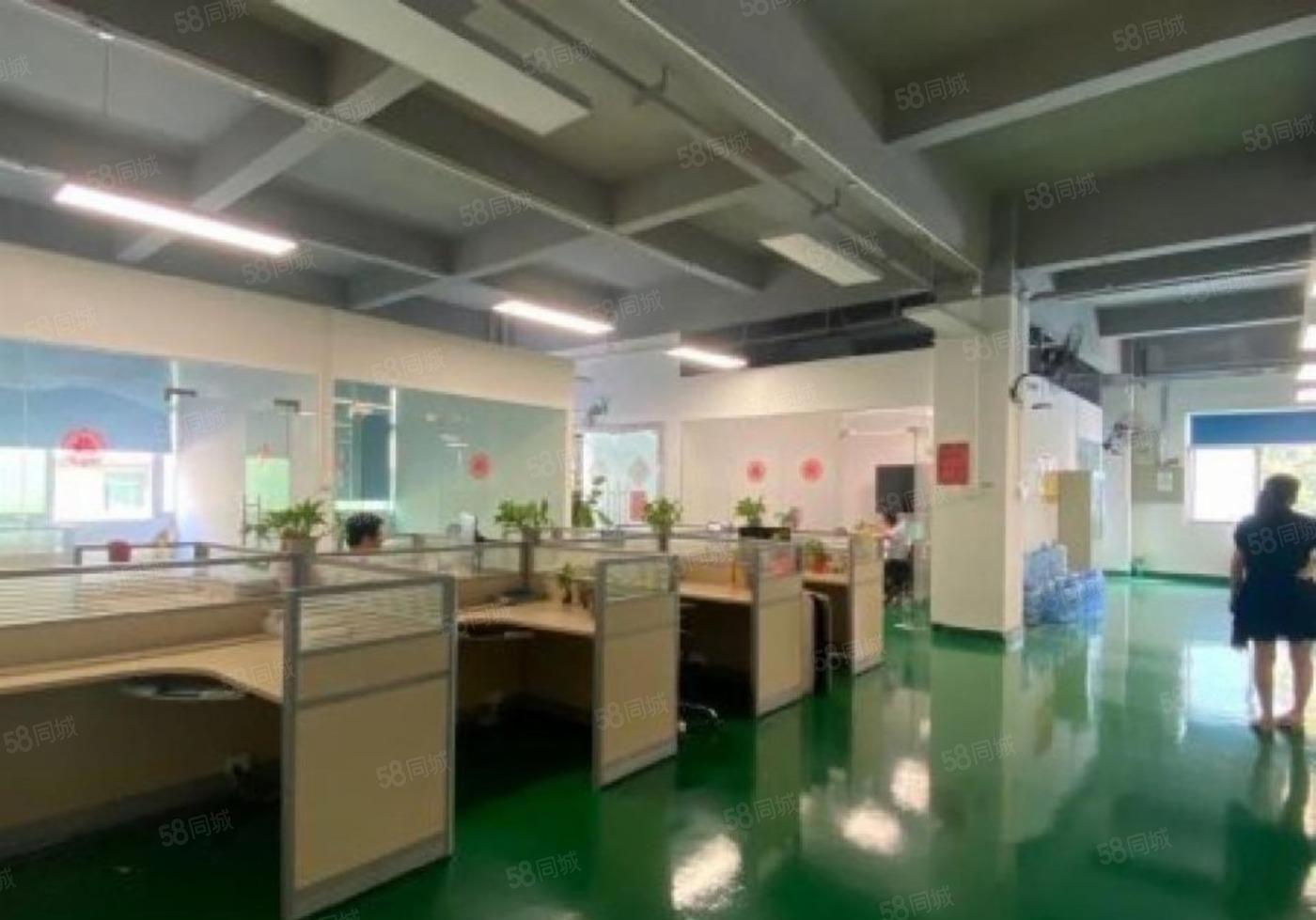 大朗原房东新出地坪漆带精装办公室厂房出租楼上850平方高5米