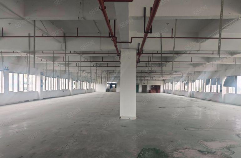 东莞厂房松山湖片区 大朗原房东独门独院4层厂房