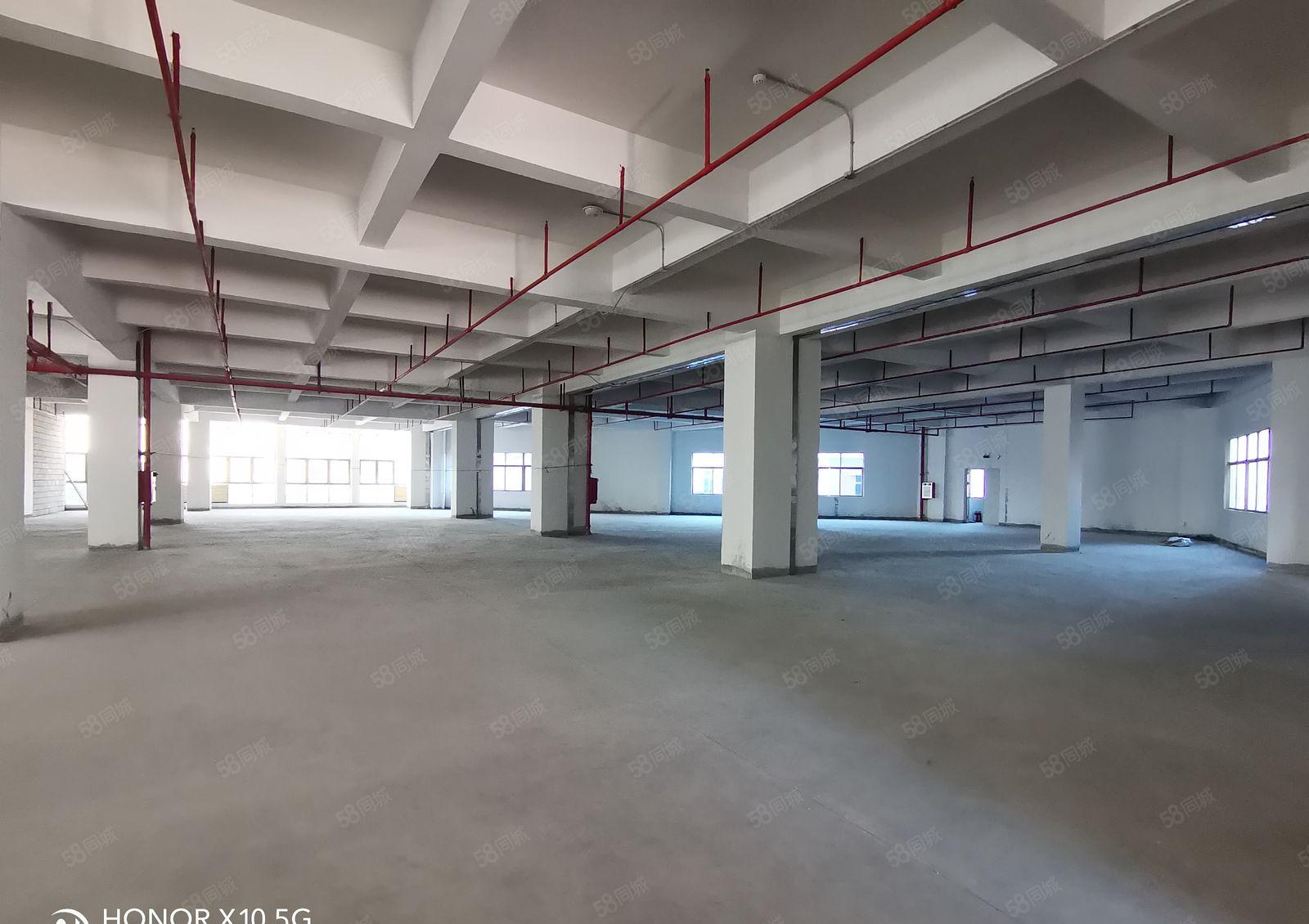 原房东超低价9块9元大马路上 形象好厂房出租