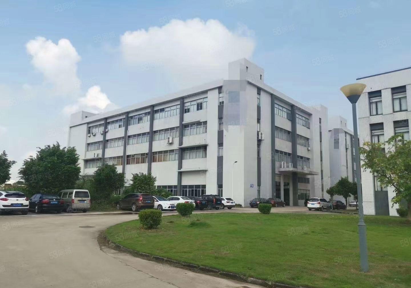 大朗镇原房东一楼整层2000平方，带牛角位，高8米。