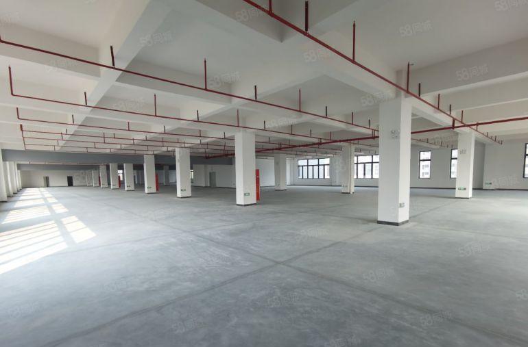 大朗镇厂房出租，带货梯，大小可分租