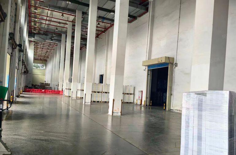 大朗物流仓储 总面积4000方 大小可以分租 价格很优惠