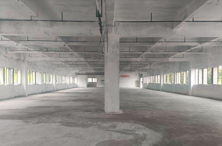 东莞厂房松山湖片区 大朗原房东独门独院4层厂房