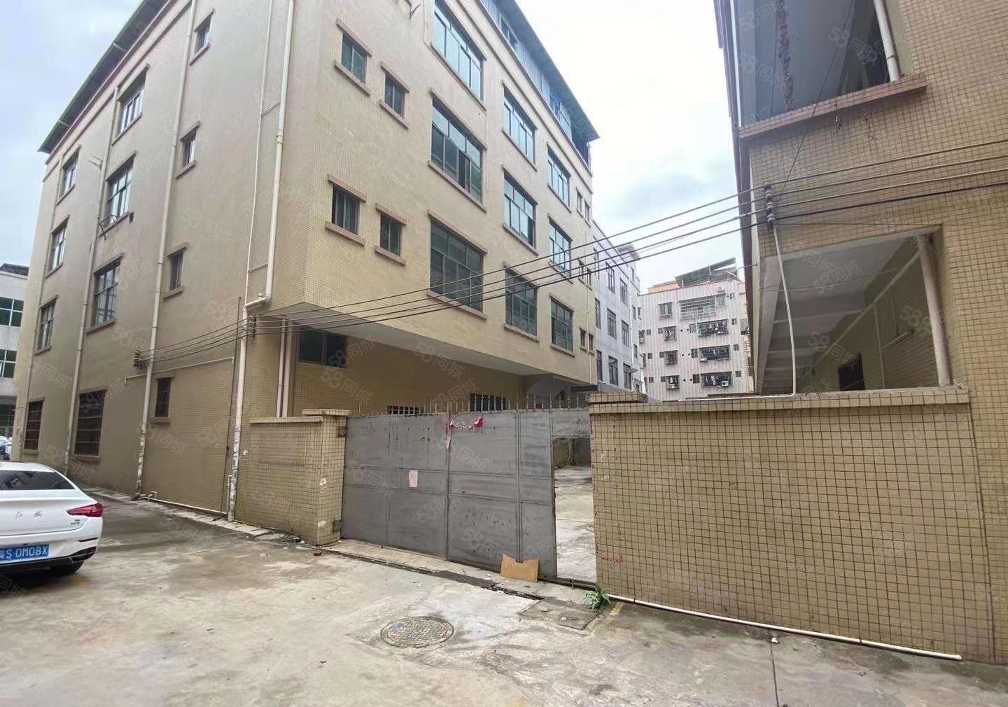 大朗高英莞樟路旁原房东独院二楼1100平九成新厂房出租有红本