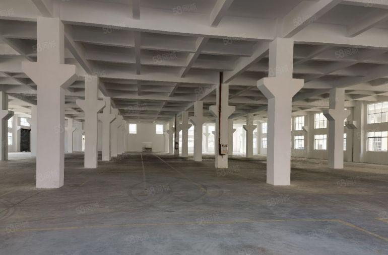 大朗靠松山湖原房东标准厂房14310平，可分层租