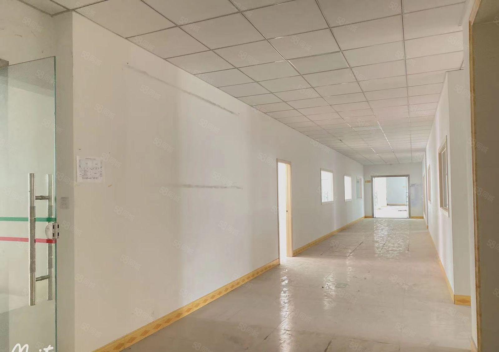 个人独院厂房低价出租！大朗盈丰路9号厂房1300平可分有环评