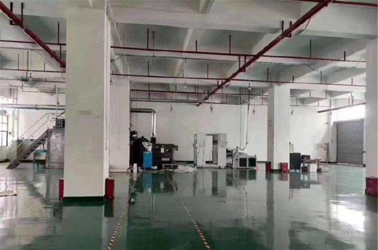 10块特价厂房 大朗大井头一楼800平方送阁楼办公室