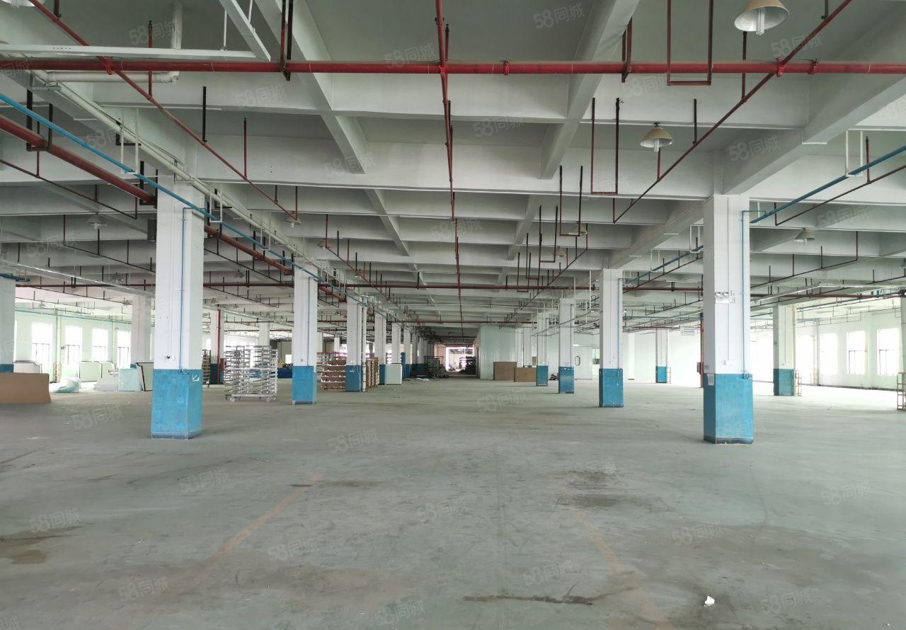 大朗镇2层红本独门独院厂房13000平方，宿舍2000平方