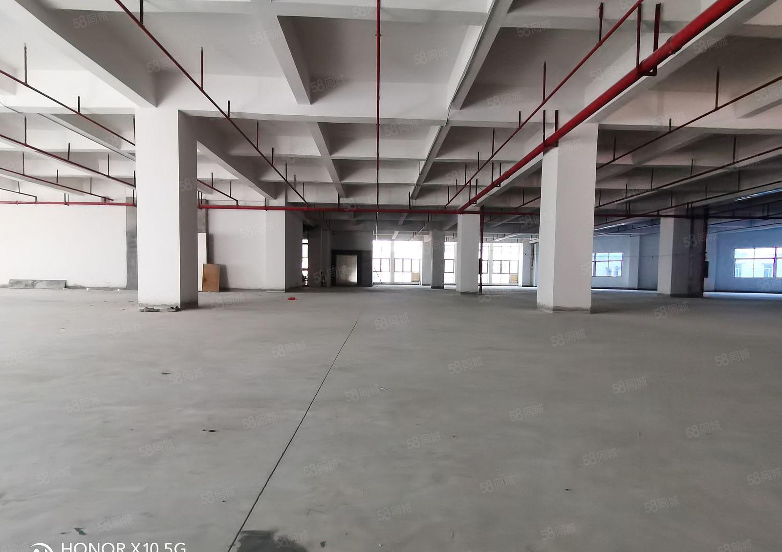 原房东超低价9块9元大马路上 形象好厂房出租