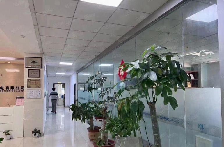 原房东独门独院厂房直租！大朗新出8000平厂房仓库出租