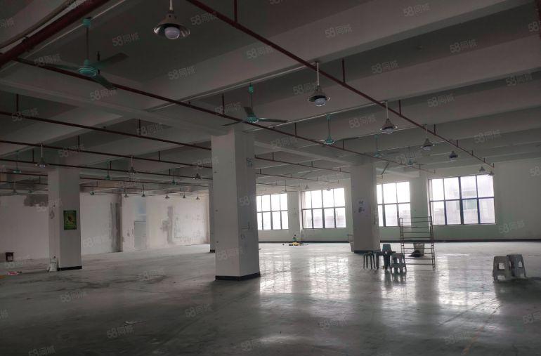 大朗新出新建厂房楼上2500平厂房出租仓库出租，有水电办公室