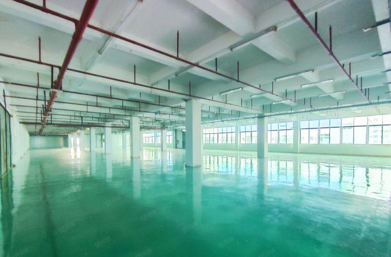 大井头新出楼上2000平带精装修办公室标准厂房，全新地坪漆