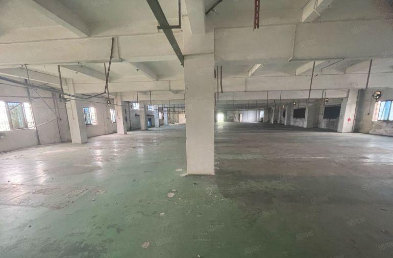 超低价！超低价给钱就放 ，大朗求富路大工业园内