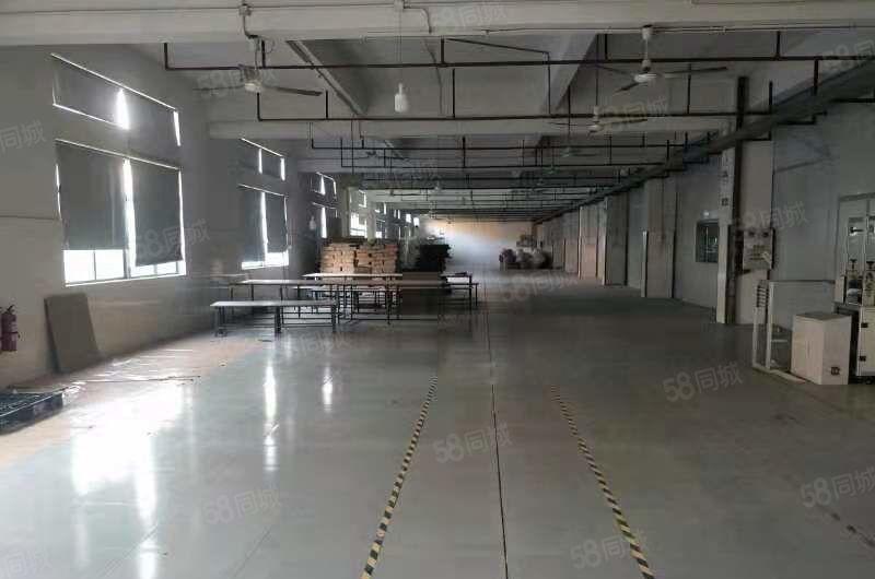 大朗镇一楼厂房招租2300平方高度6米