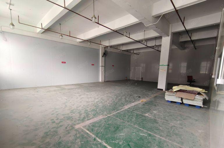 大朗原房东厂房招租 270平 格局方正 层高4.5米 地坪漆