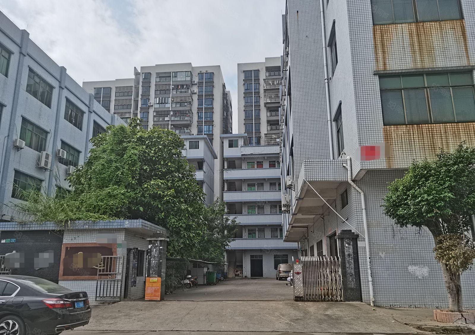 大朗村委独院，近高速，空地大，配套宿舍，层高5米，水电齐全，