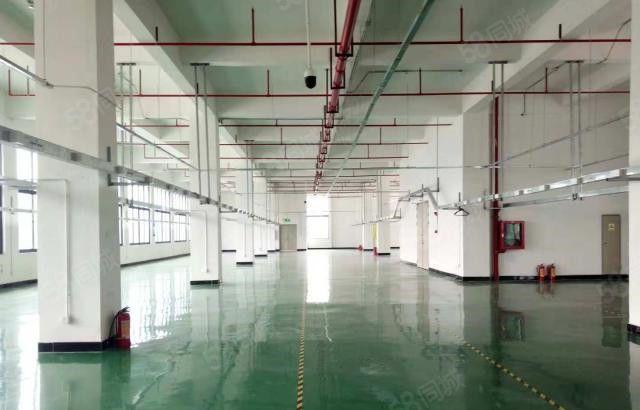 可包租 大朗高英5800平方独院厂房 房东10元急租