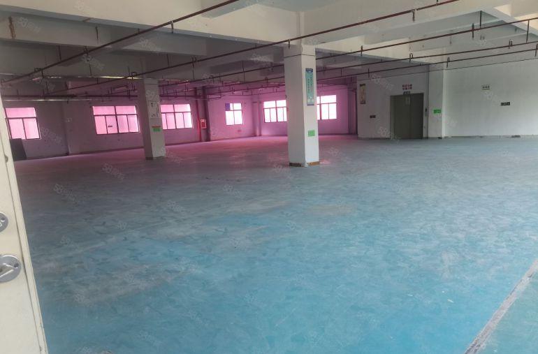 大朗镇松木山附近原房东9800平红本标准独院厂房实际面积出租