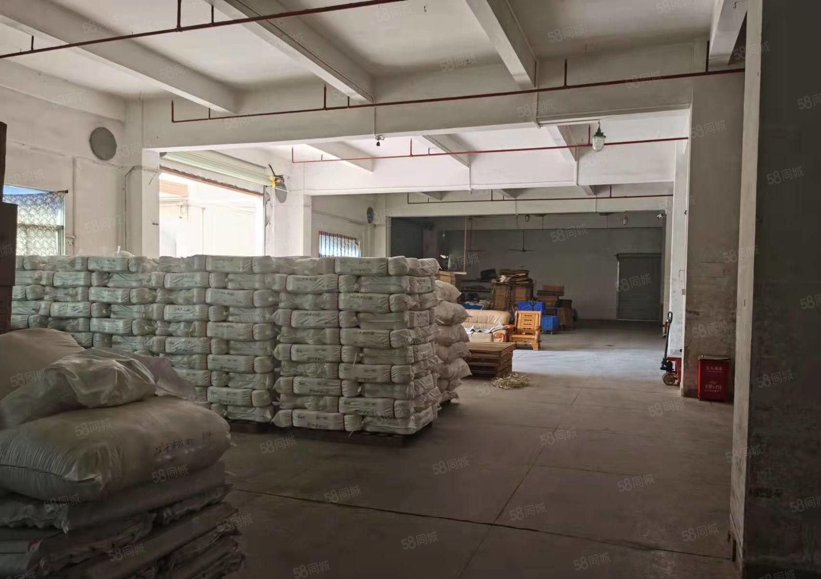 大朗镇新出独院厂房分租一楼2300平方，楼高六米，豪华装修