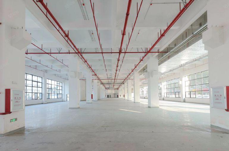 大朗原房东带环评，一楼高8米15，楼上10块，自己交电费