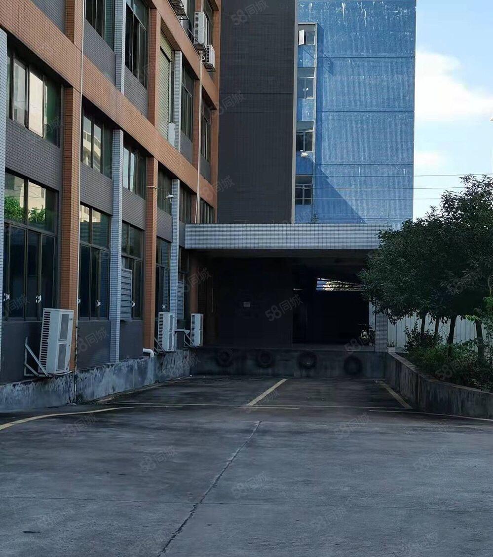 大朗镇新岀2000平原房东一楼，大小可分，空地大配套齐全