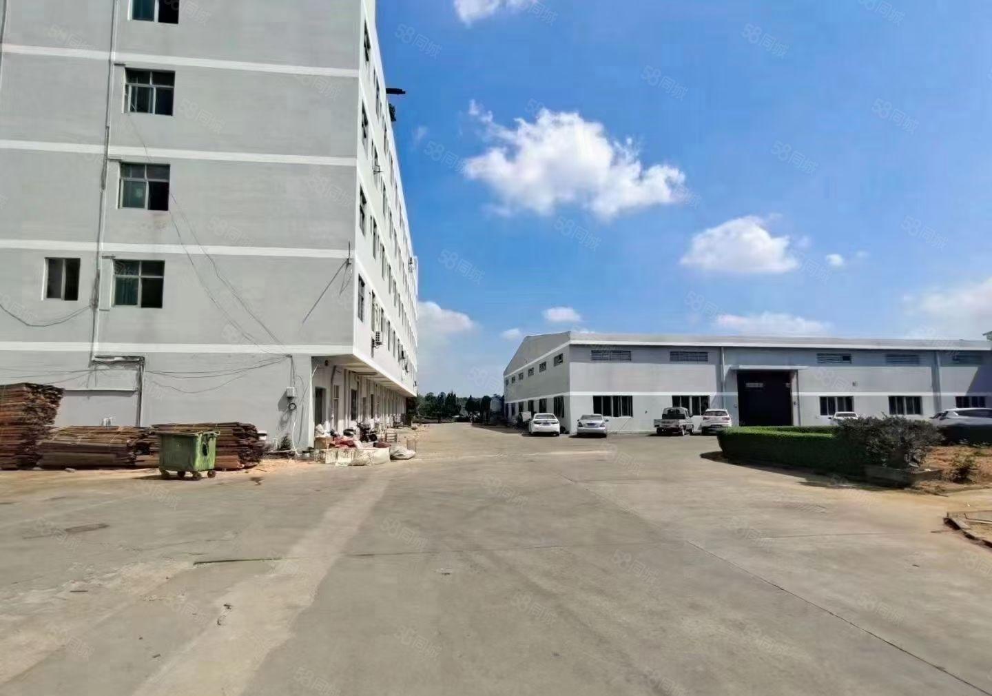 大朗高速路口附近新空出砖墙到顶厂房7800平米，滴水9米