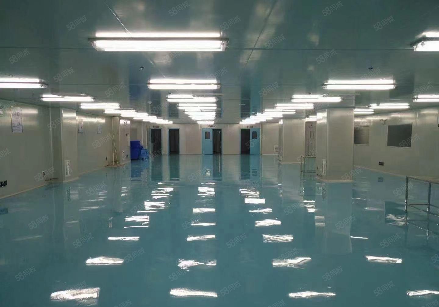 大朗镇，原房东分租1500平无尘车间，进场即可生产