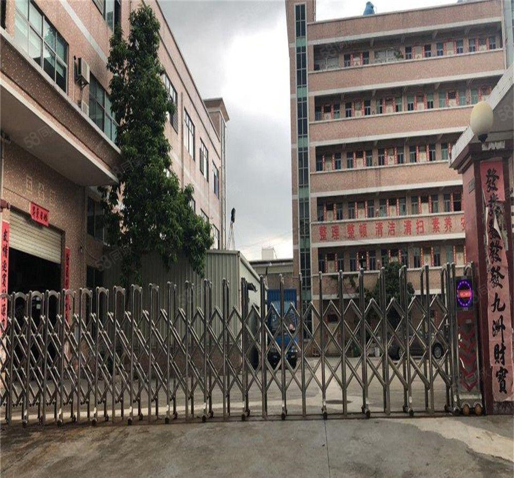 大朗工业园区带牛角厂房实业户分租一楼790方，高7米可进大车