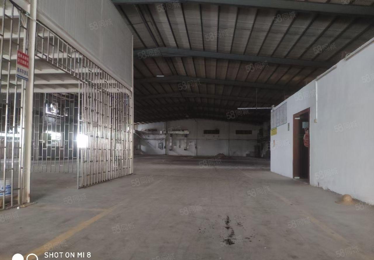 大朗镇沙步村，新出独院单一层厂房总面积2500平，交通便利