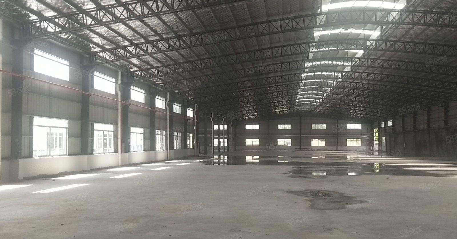 大朗工业聚集区独院全新12米钢结构厂房空地大交通便捷