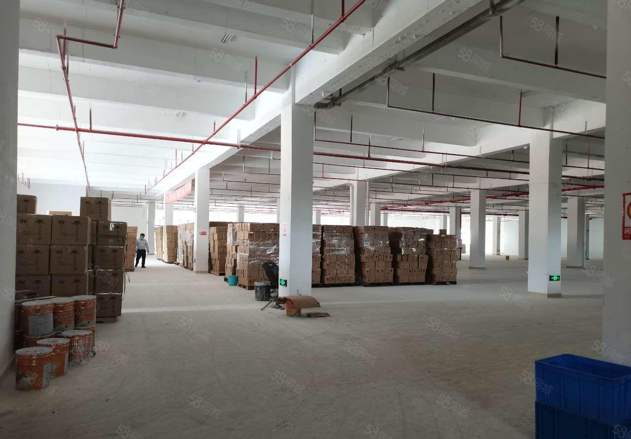 大岭山高速路口新出楼上带精装修厂房，现9块超低价出租，