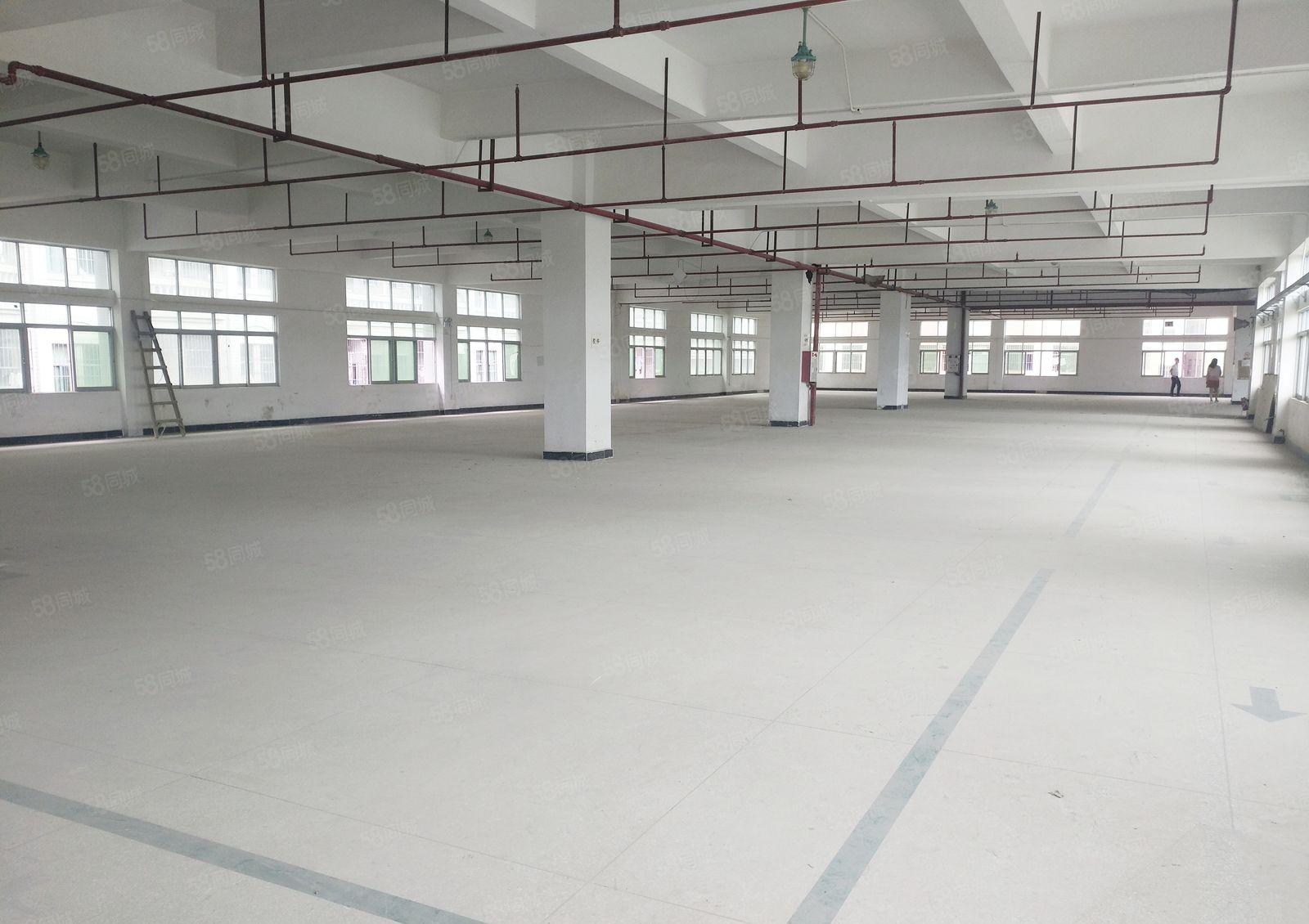 大朗镇  全新  重工业  独院厂房 首层高8米