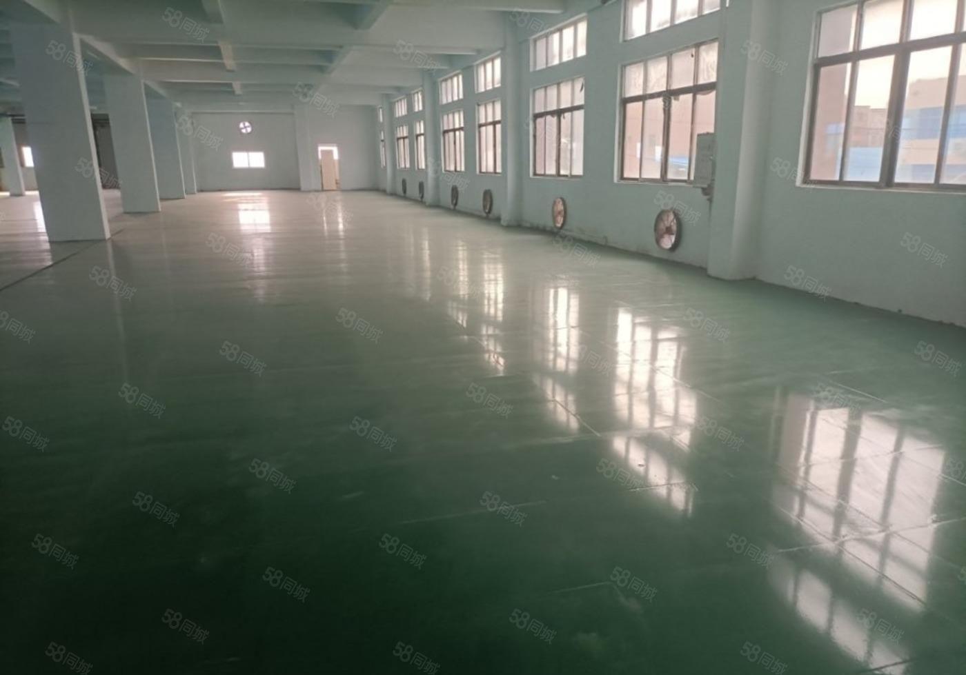 大朗工业园区仓库厂房出租1150平方，不限行业交通便利易招工