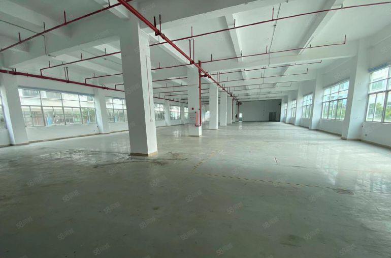 大朗镇大井头园区厂房出租8000平大小面积分租精装修水电齐全