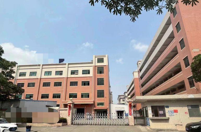 大朗镇原房东独院标准厂房总面积9800平米带豪华精装修办公室