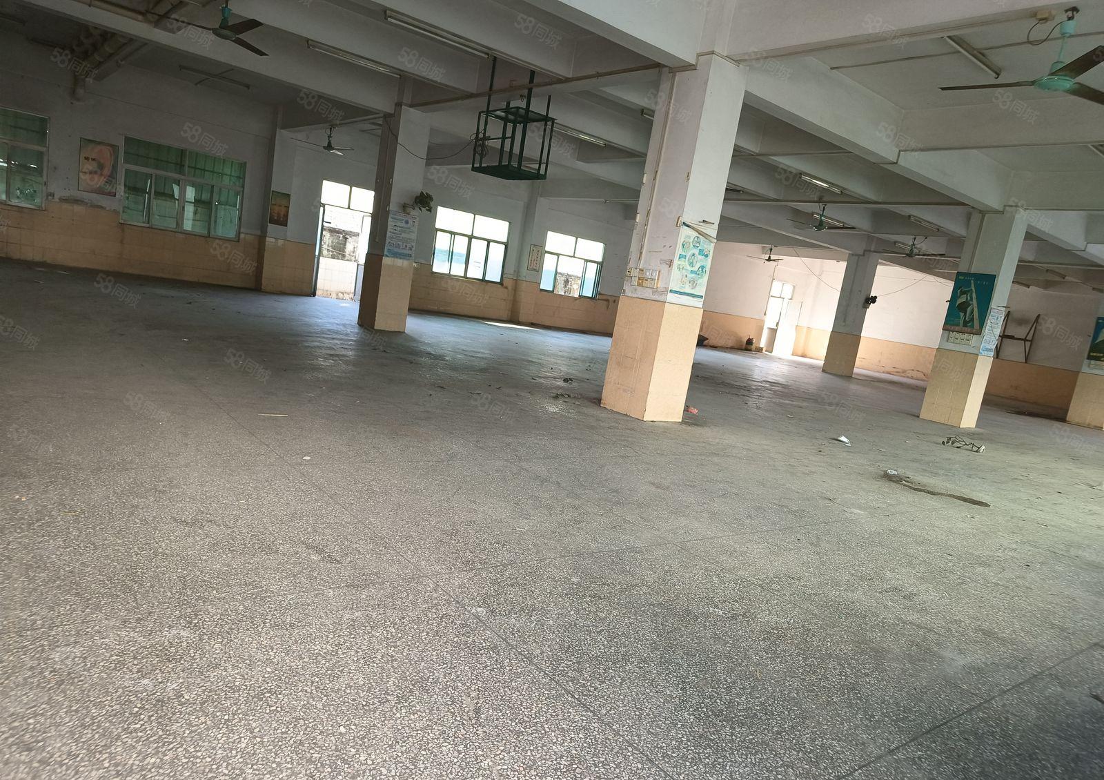 原房东独院厂房独栋厂房重工业厂房花园厂房出租红本厂房