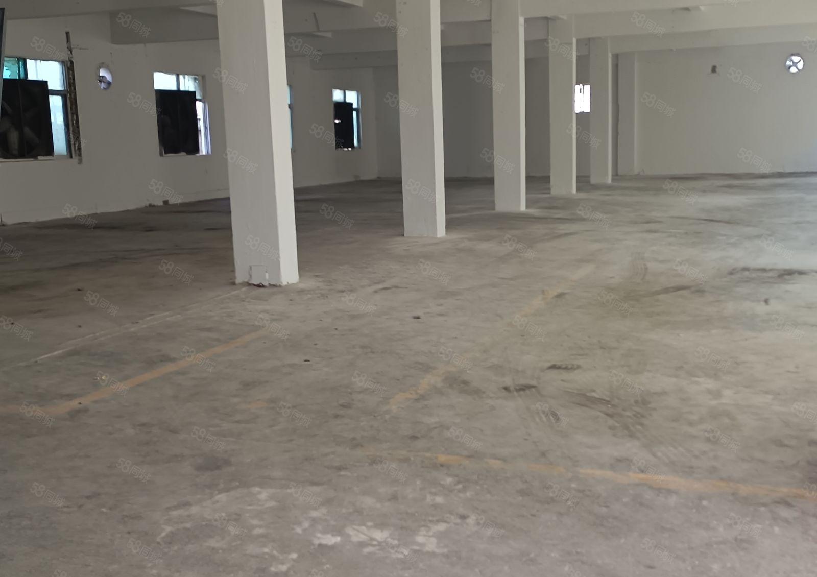 大朗镇原房门独院标准厂房，厂房位置好，交通方便，易招工