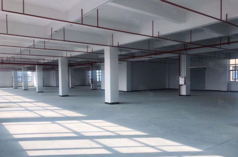 大朗富民工业城重工业厂房出租可以做新能源电池组装光学光电生产