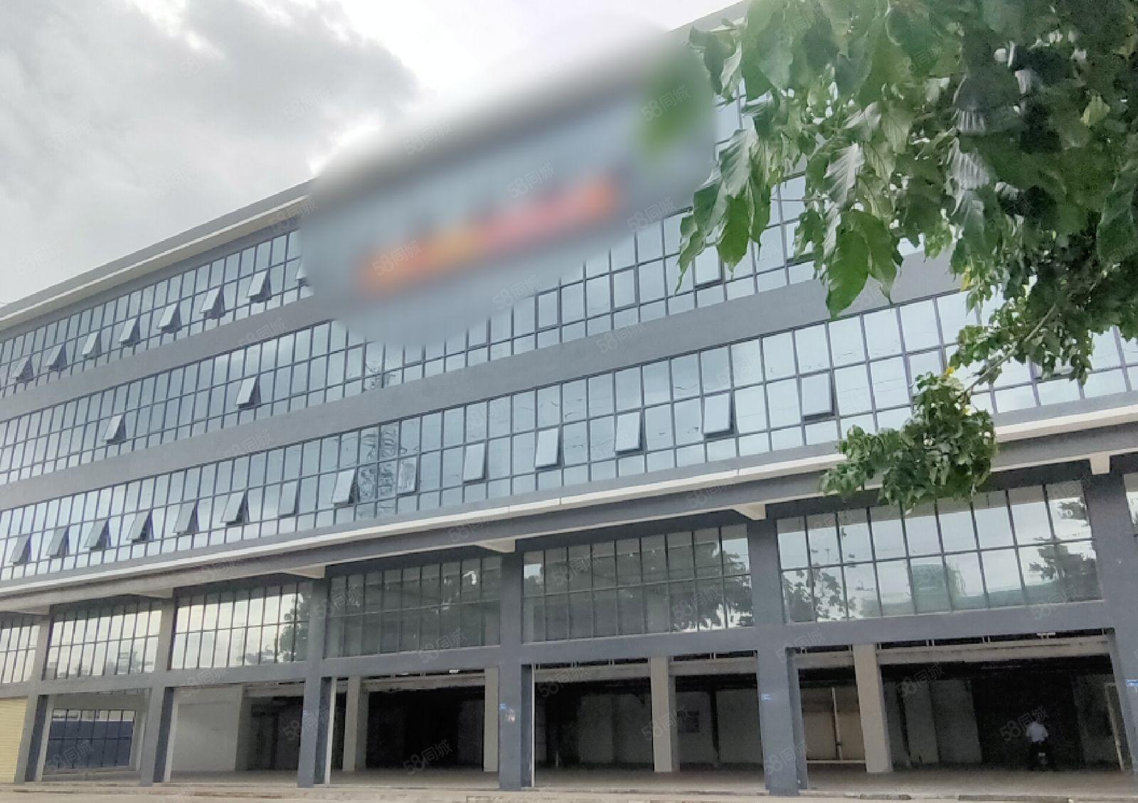 大朗新出高速路口下1500厂房带现成精装修，现低价出租，