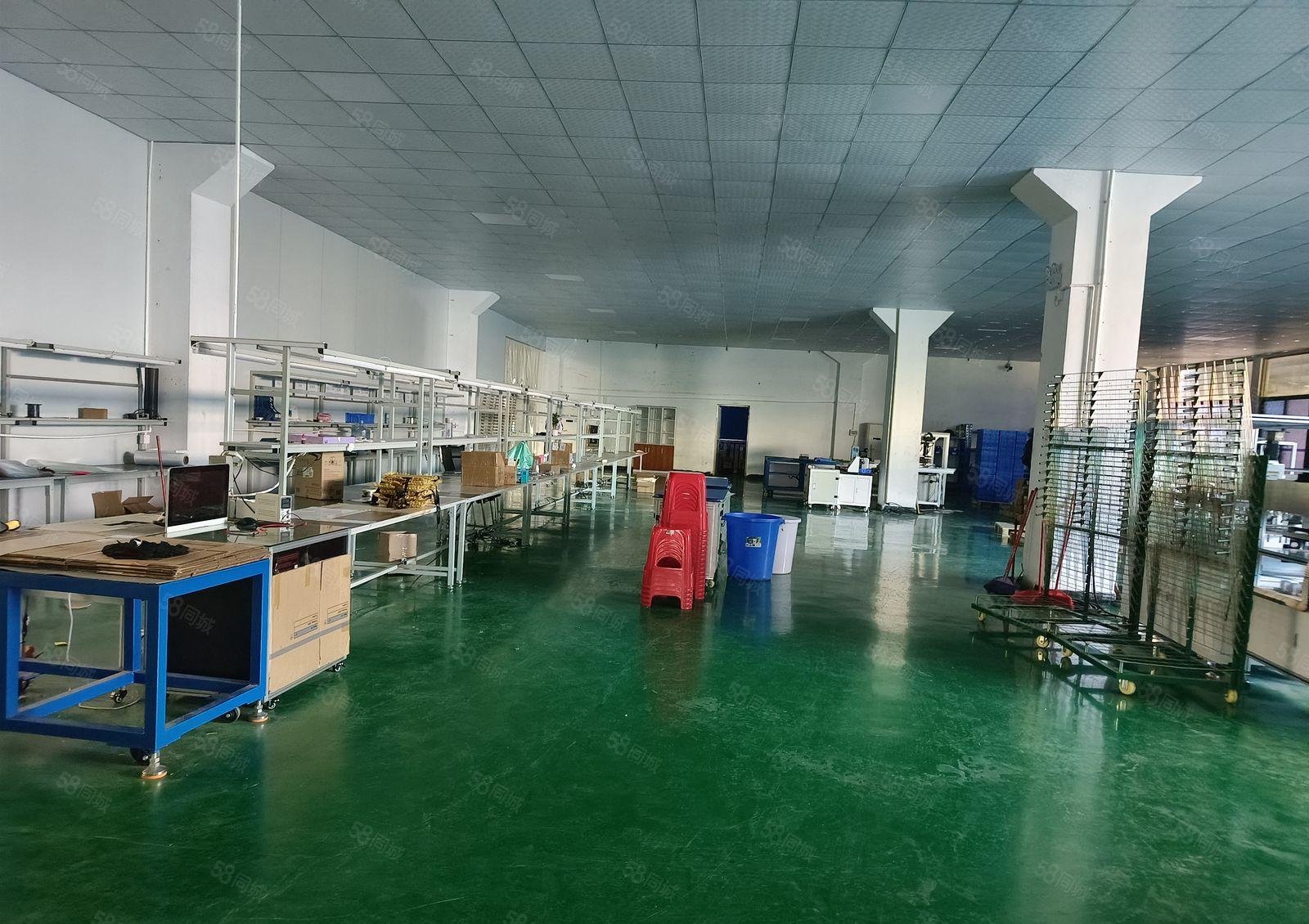 原房东独院厂房独栋厂房重工业厂房花园厂房出租红本厂房