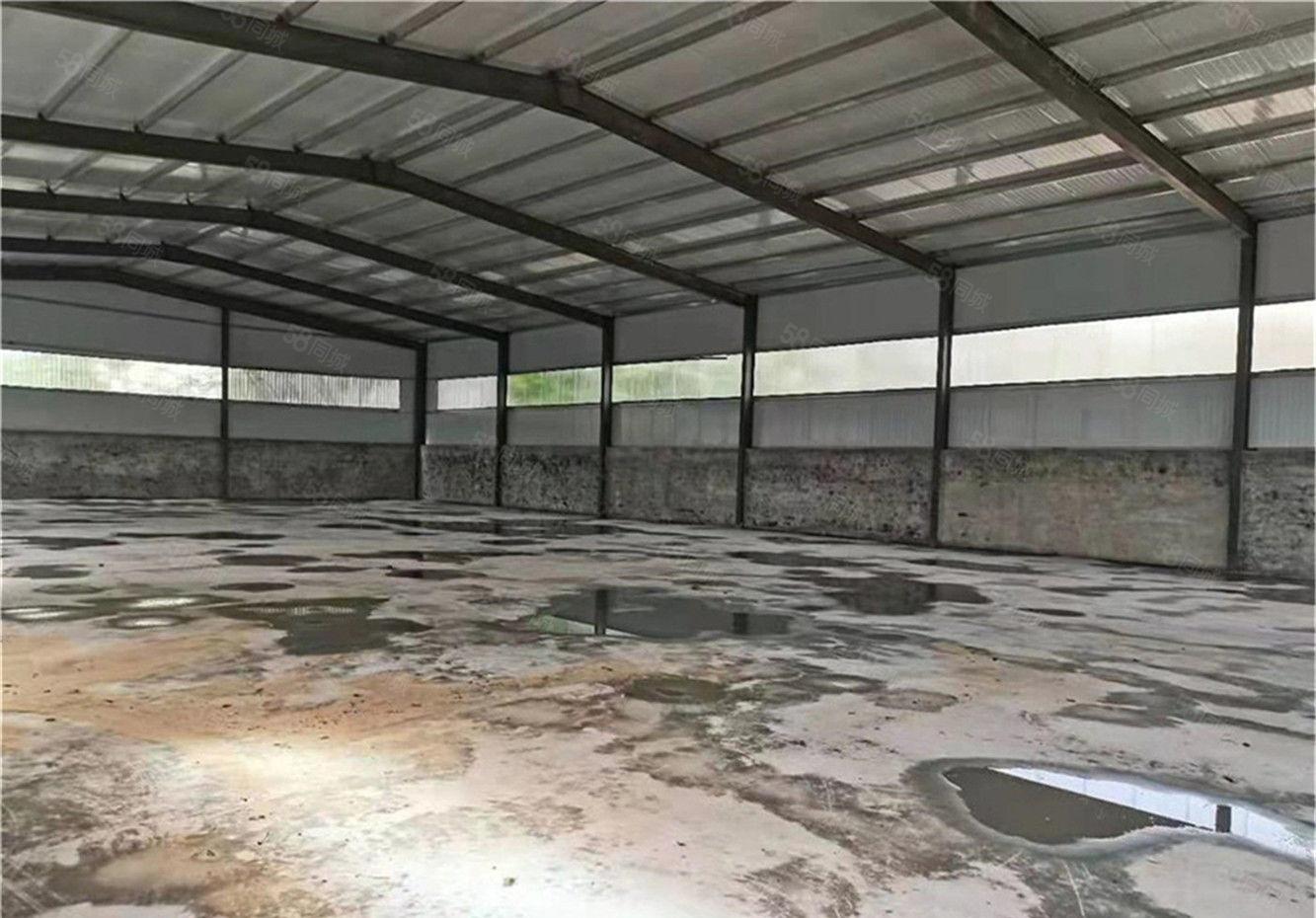 大朗原房东独院钢构厂房出租单一层750平方，超大空地仓库多用