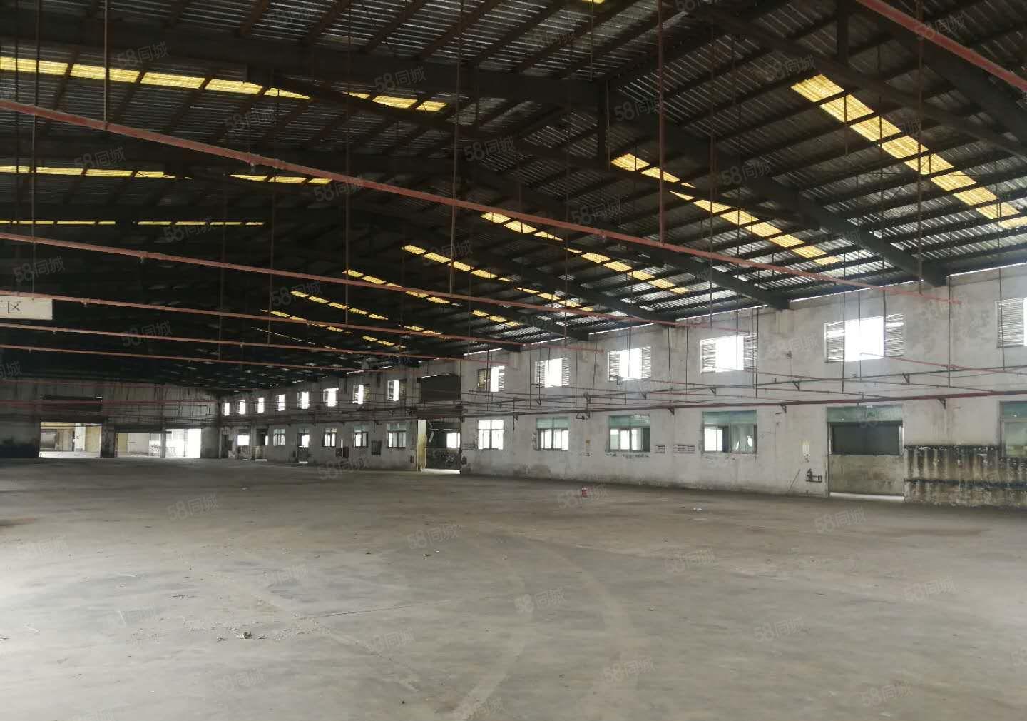 大朗洋坑塘新出钢构厂房出租5500平方 9米高 空地大独院