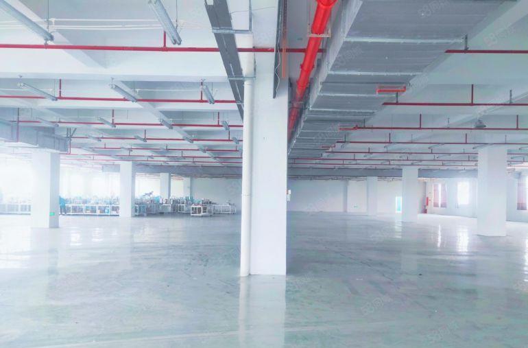 大朗全新带牛角标准厂房出租面积大小可分工业用地交通便利空地大