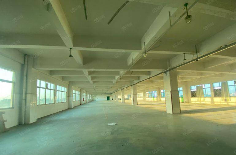 急租大朗楼上地坪漆精装修天花吊顶合适电子五金贸易注塑