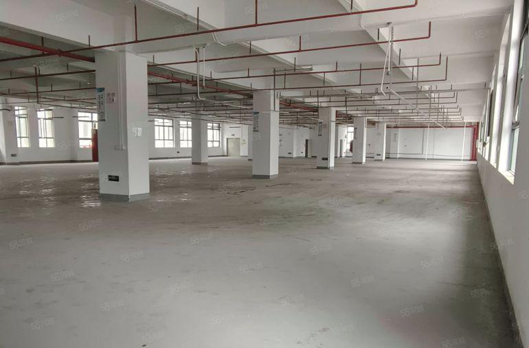 （出租）大井头楼上整层1360平方，实际面积出租，现成装修