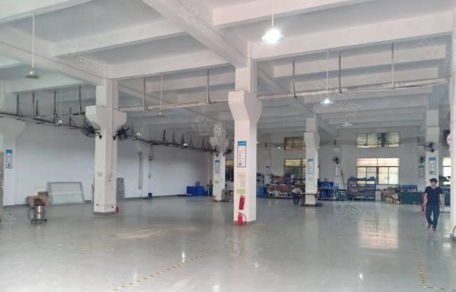 进车方便 大朗洋乌独栋一楼500平方厂房 靠近主干道