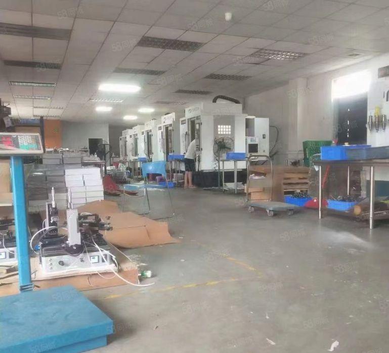 大朗镇全新园区，标准厂房，仓库铁皮房低价出租