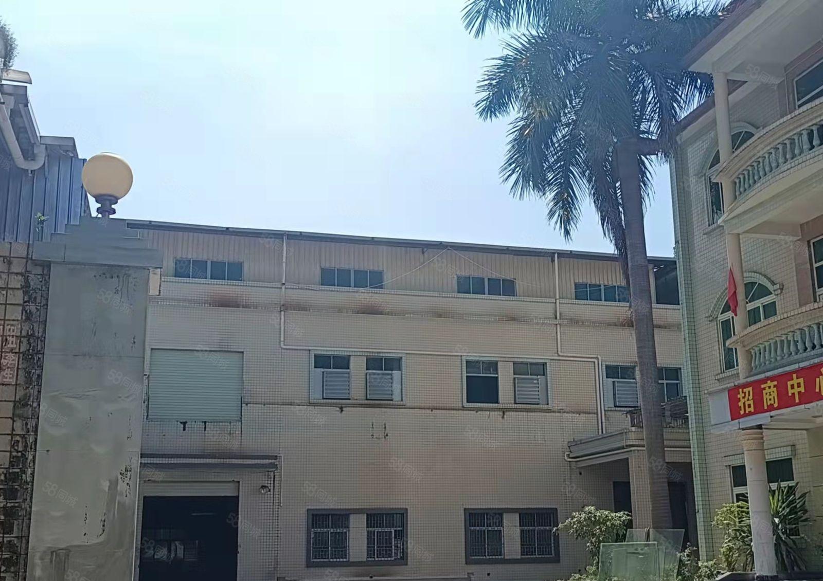 新出，特价工业厂房出租大朗原房东独院7200平方，大小可分租