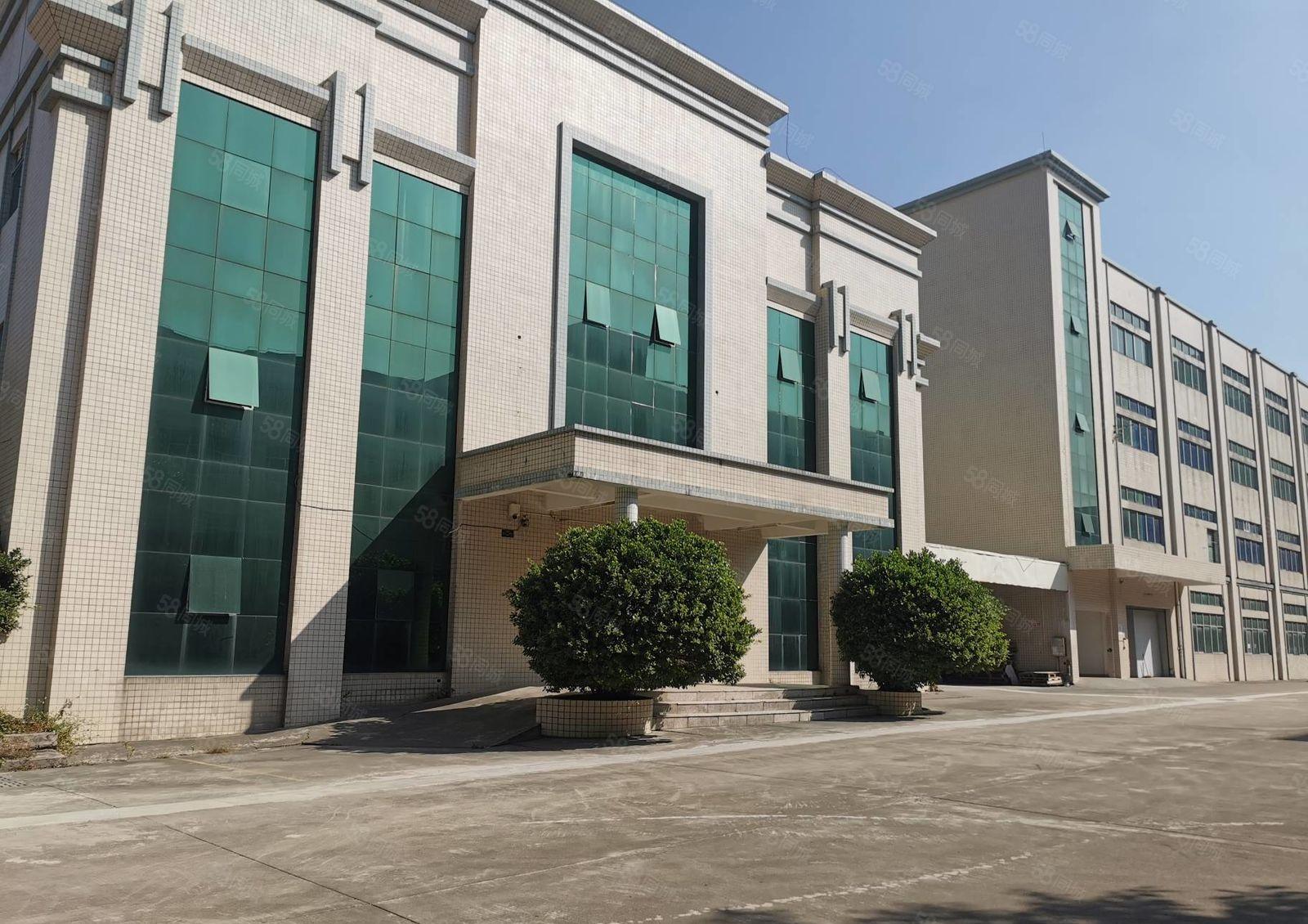 大朗11000平方原房东独院厂房急租 价格便宜