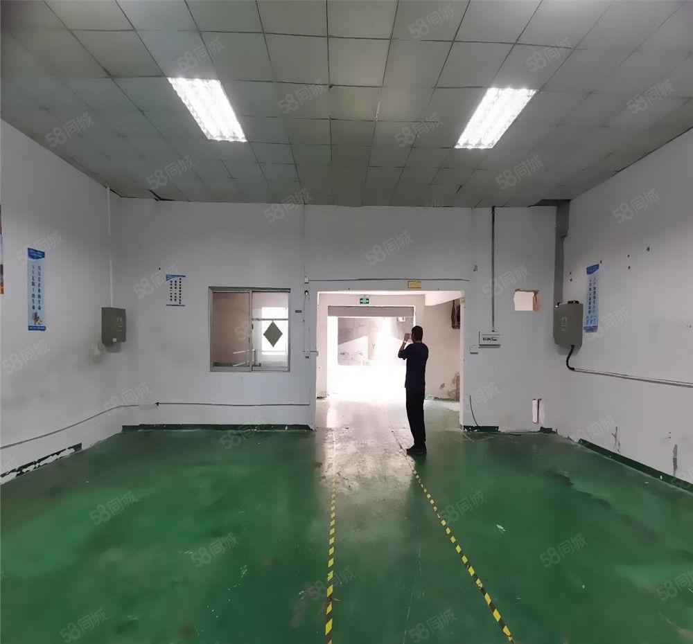 大朗主干道厂房出租一楼350平方，办公室带地坪漆，可做仓库房